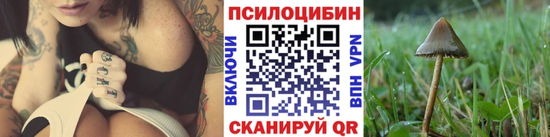 KRAKEN зеркало  Щёкино  Псилоцибиновые грибы мухоморы 